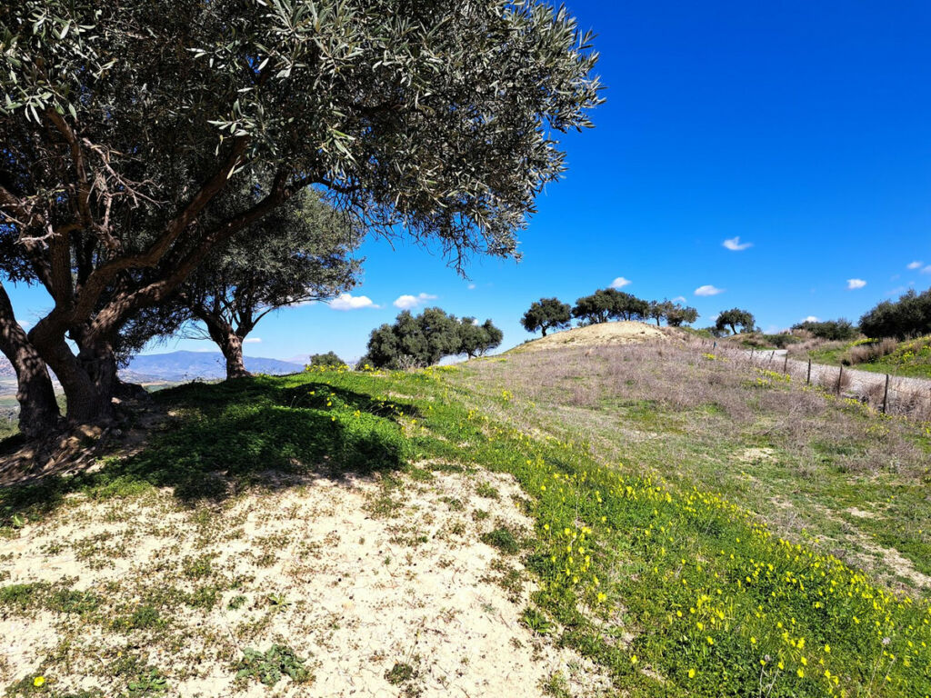 Land Coín Málaga - image 15