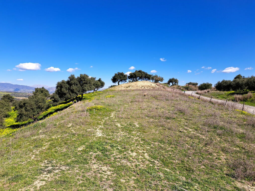 Land Coín Málaga - image 16