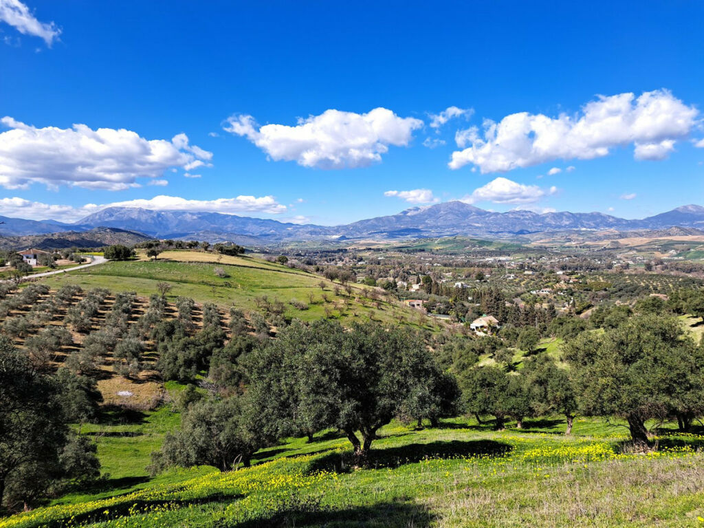 Land Coín Málaga - image 18