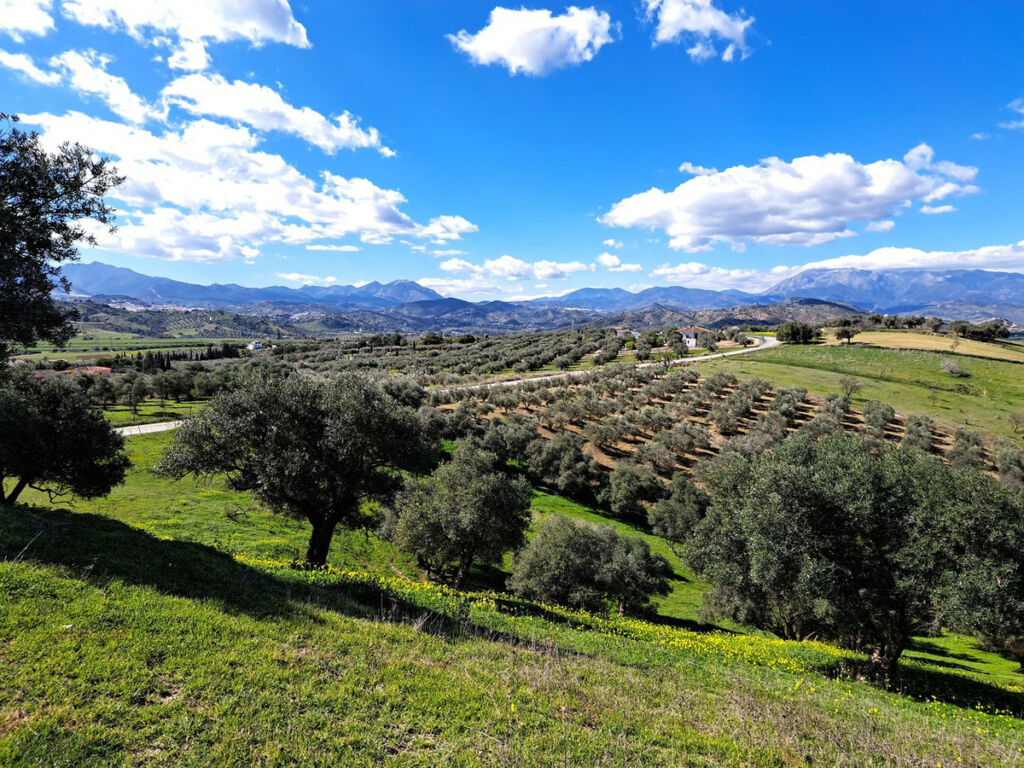 Land Coín Málaga - image 19
