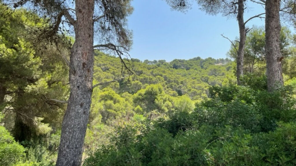 Land Javea Alicante - image 2