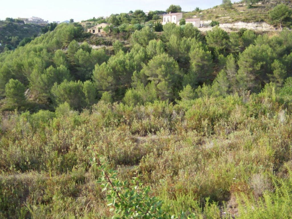 Residential Plot Benissa Alicante - image 2