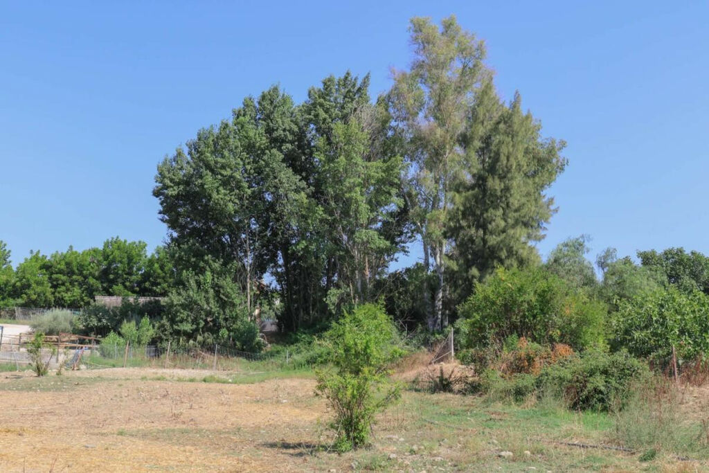 Land Coín Málaga - image 2