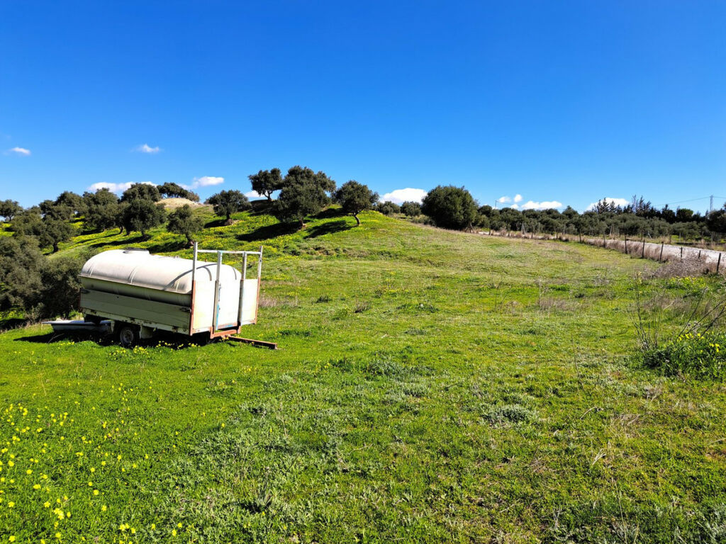 Land Coín Málaga - image 2