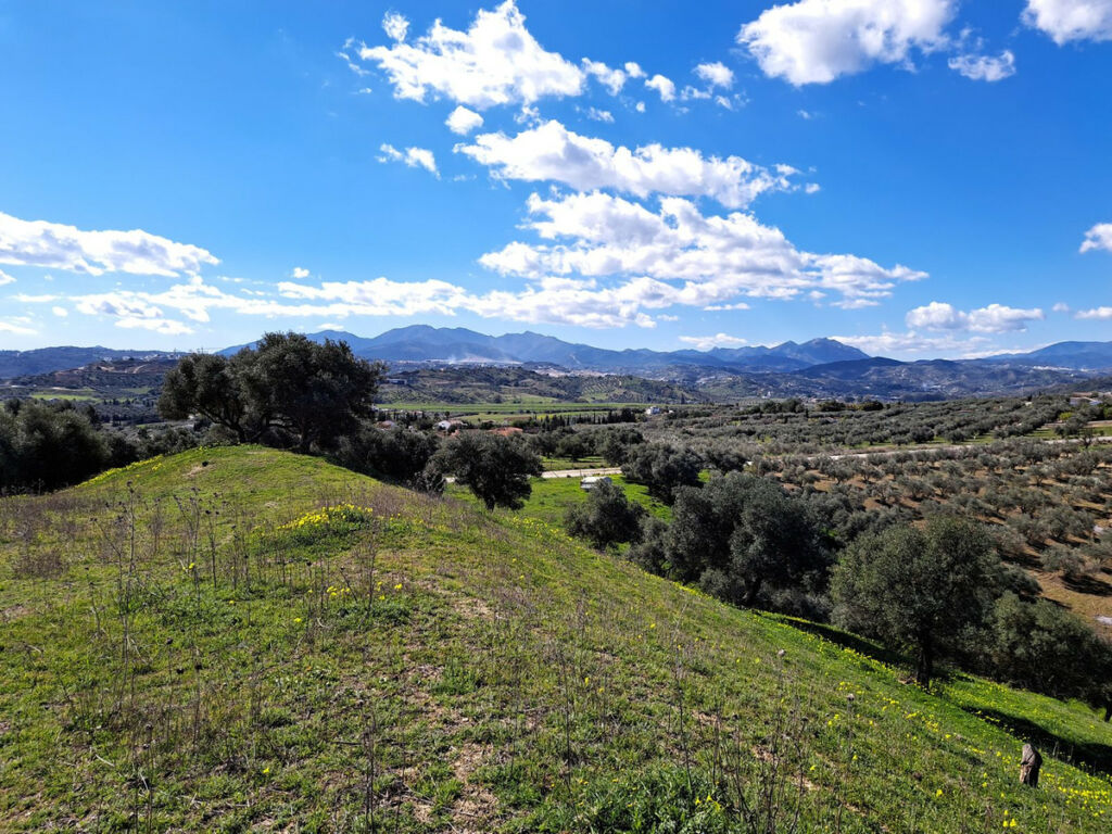 Land Coín Málaga - image 20