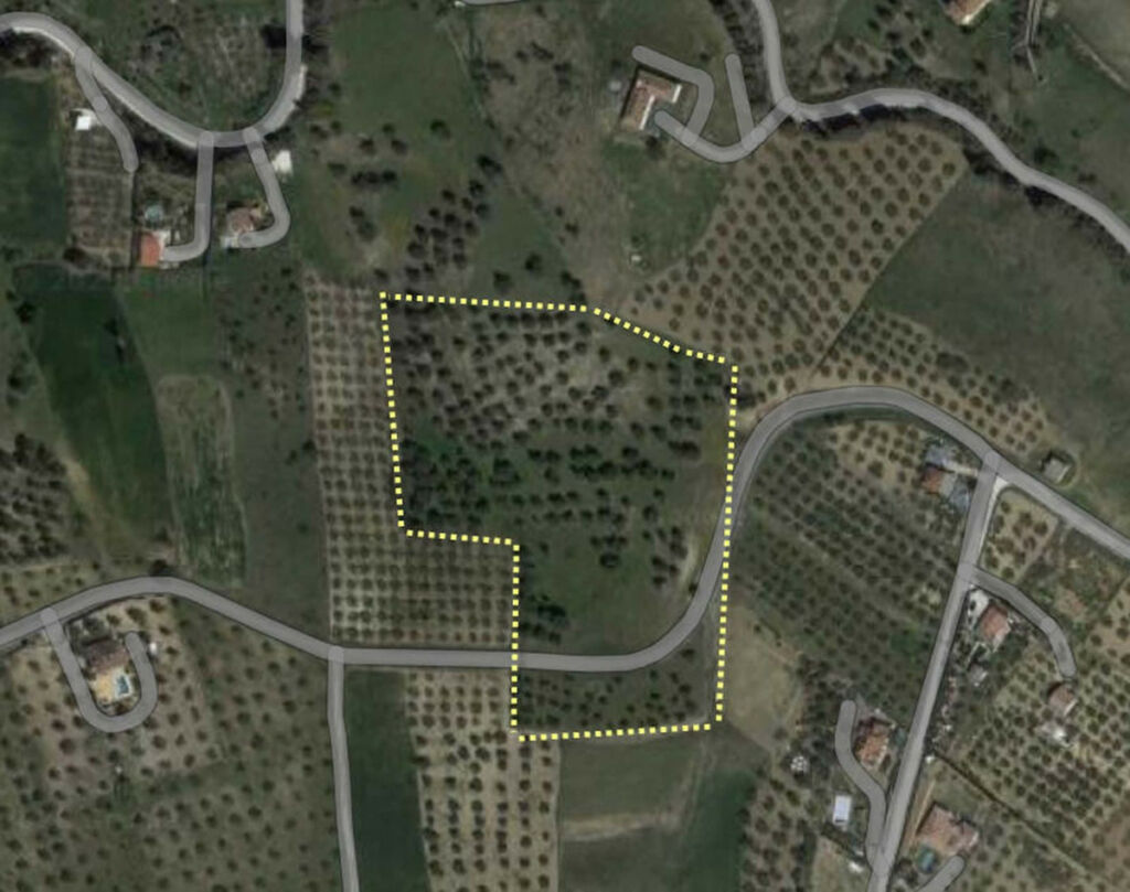 Land Coín Málaga - image 25