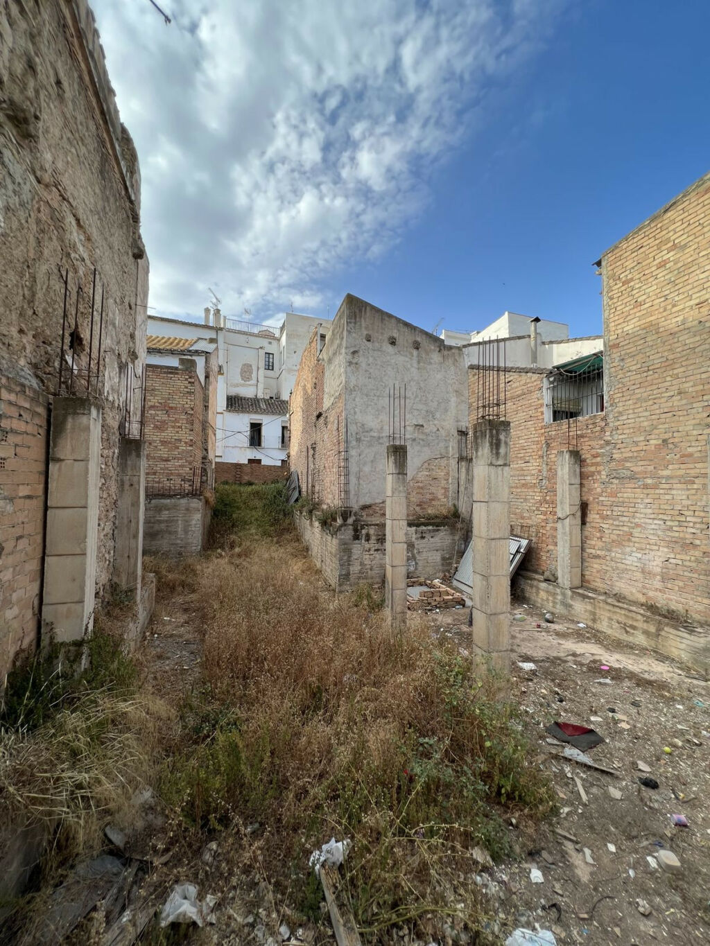 Residential Plot Coín Málaga - image 3