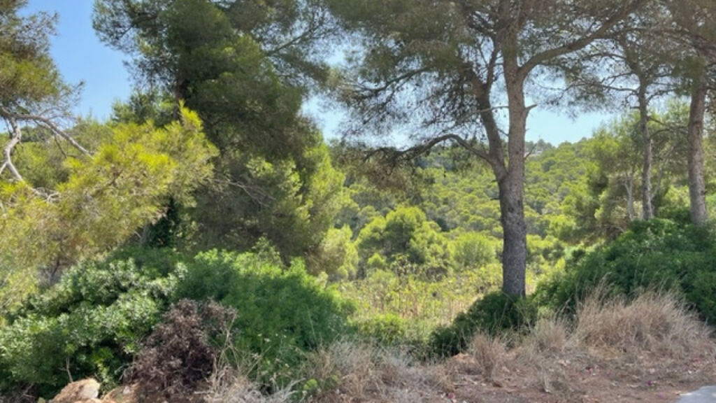 Land Javea Alicante - image 3