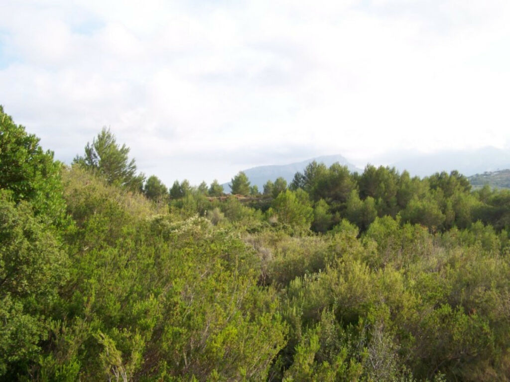 Residential Plot Benissa Alicante - image 3