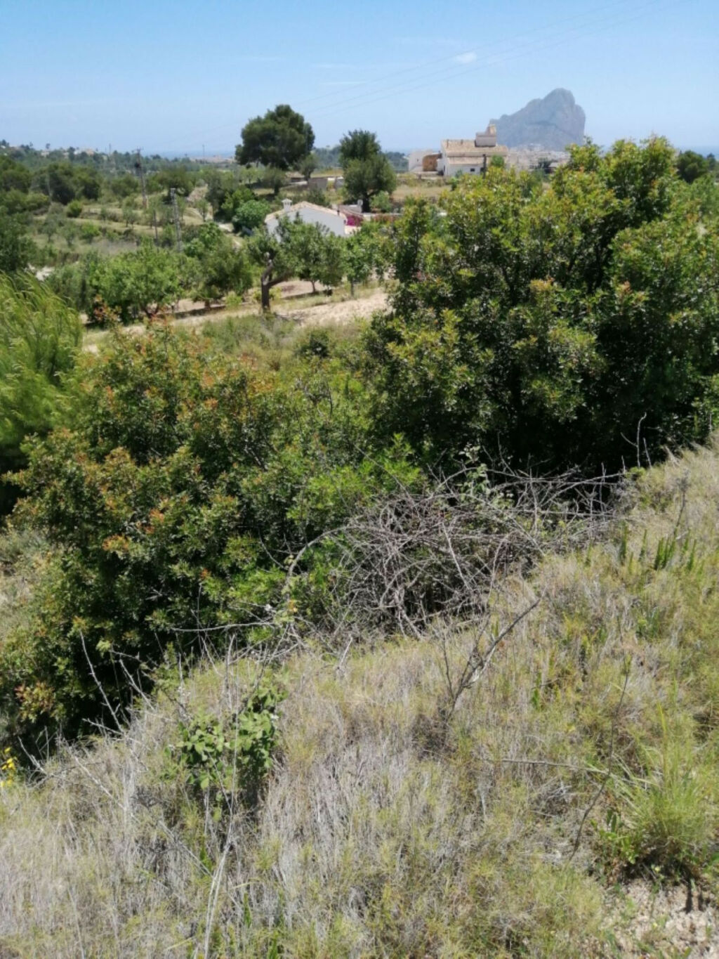 Land Calpe Alicante - image 3