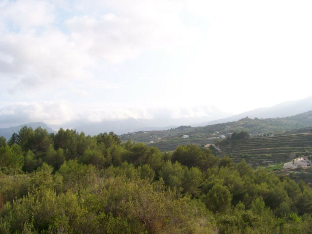 Residential Plot Benissa Alicante - image 4