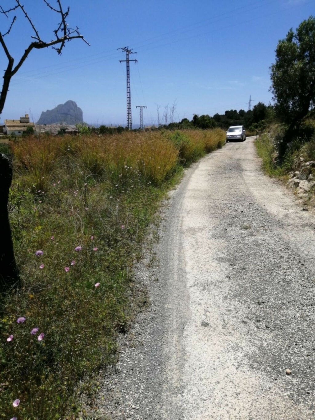 Land Calpe Alicante - image 4