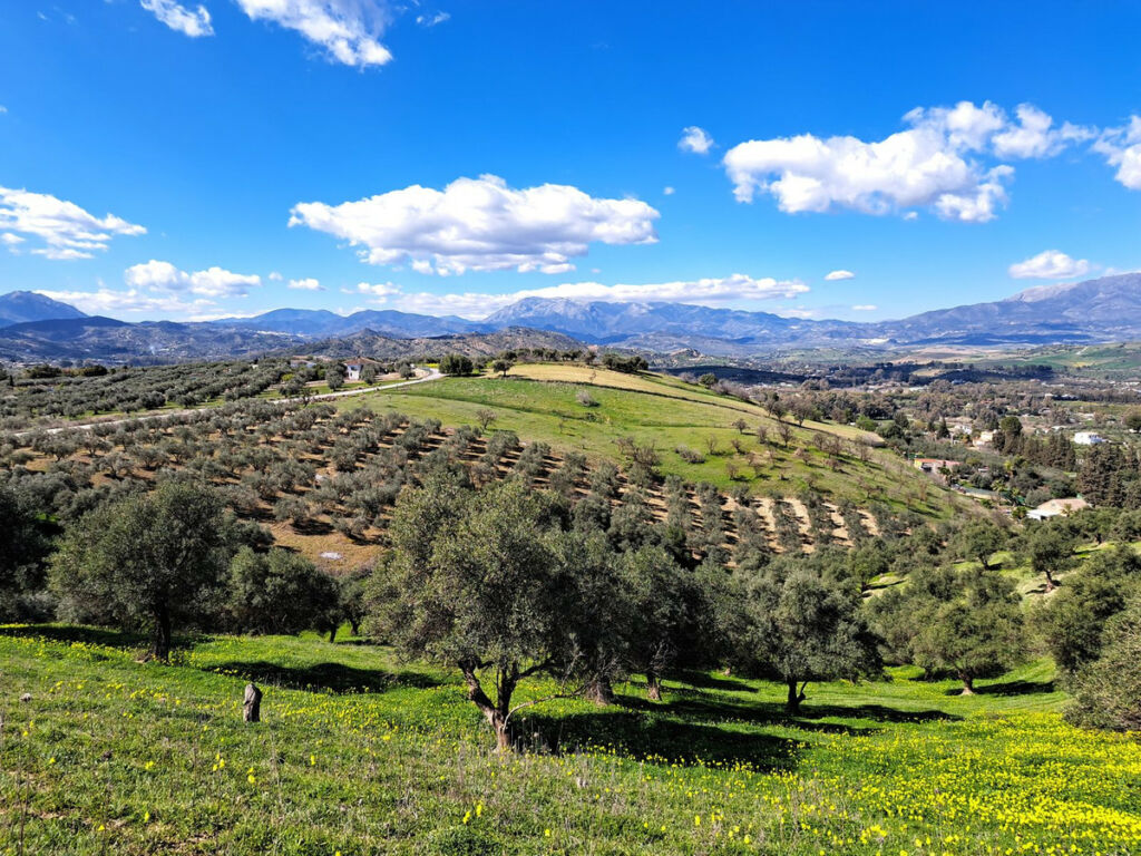 Land Coín Málaga - image 4