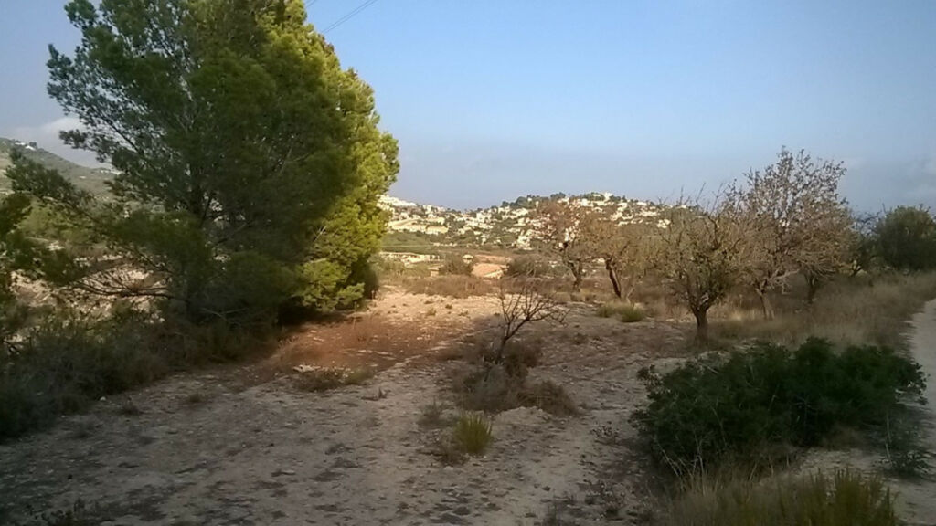 Land Calpe Alicante - image 5