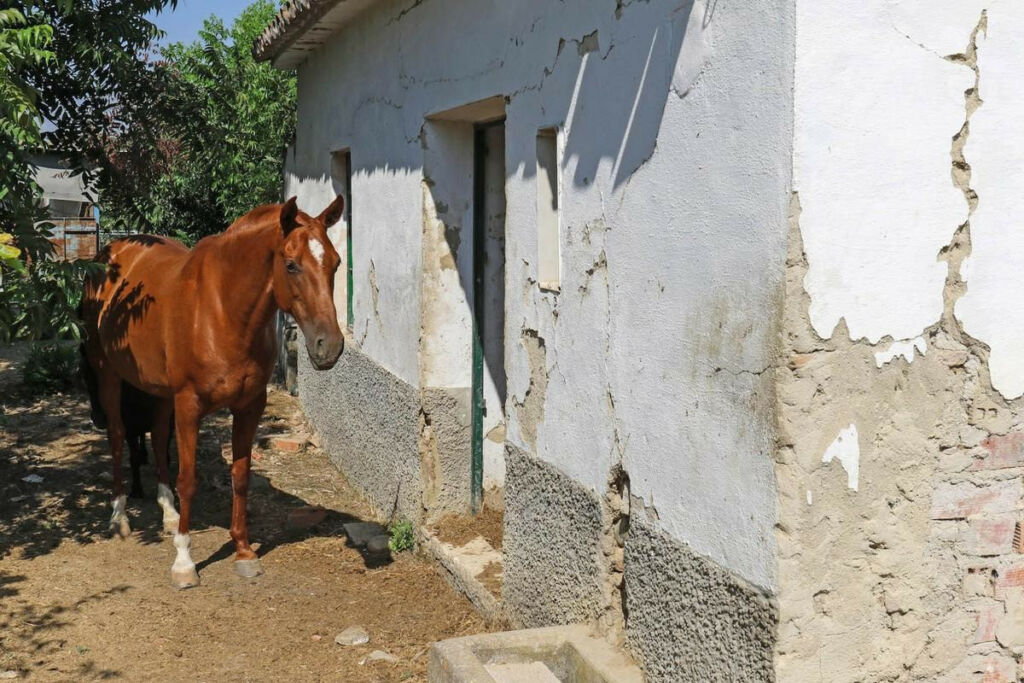 Land Coín Málaga - image 5