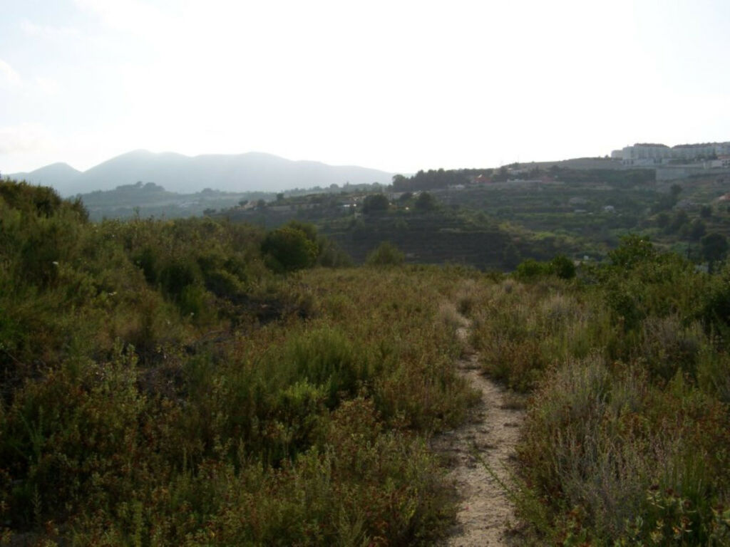 Residential Plot Benissa Alicante - image 6