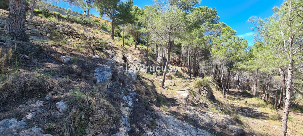 Land Calpe Alicante - image 6