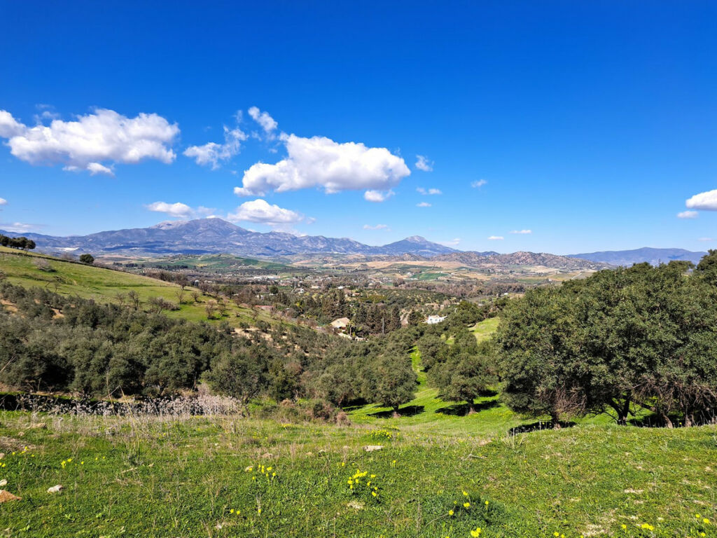 Land Coín Málaga - image 6