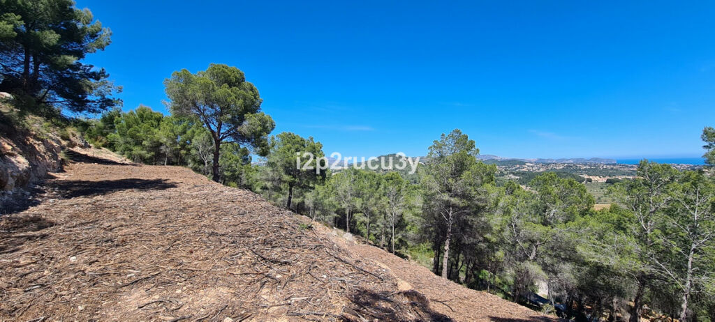 Land Calpe Alicante - image 7