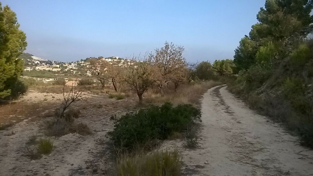 Land Calpe Alicante - image 7