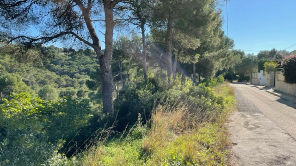 Land Javea Alicante - image 7