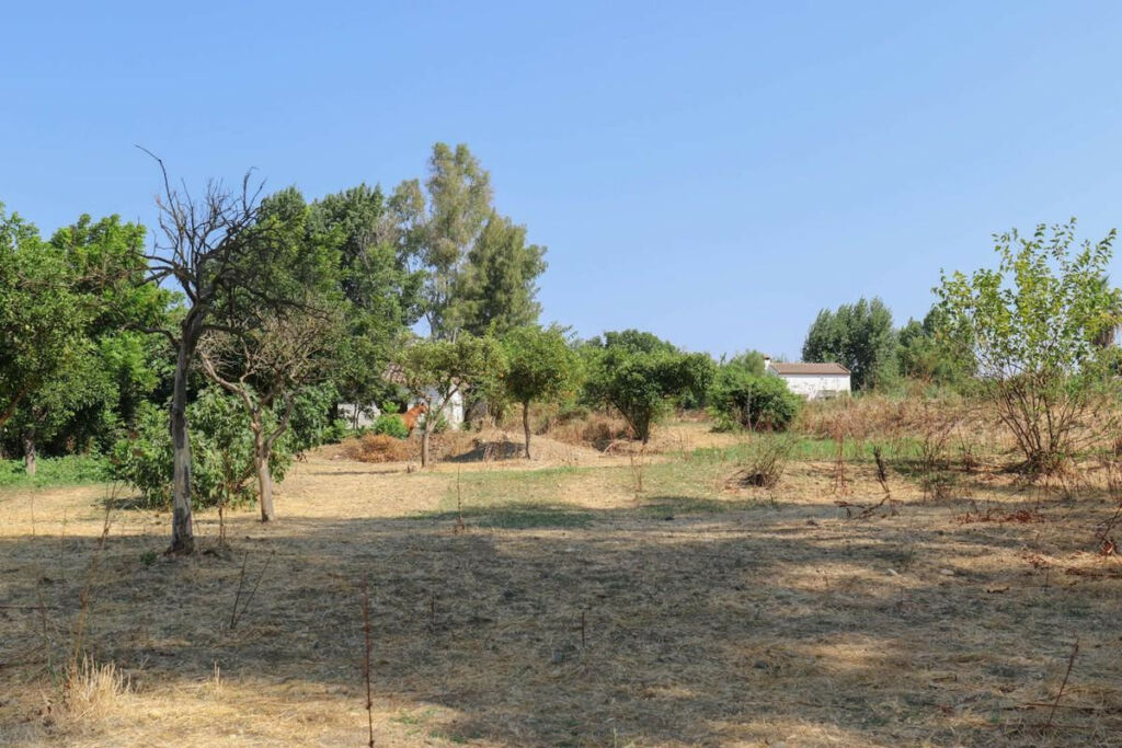 Land Coín Málaga - image 8