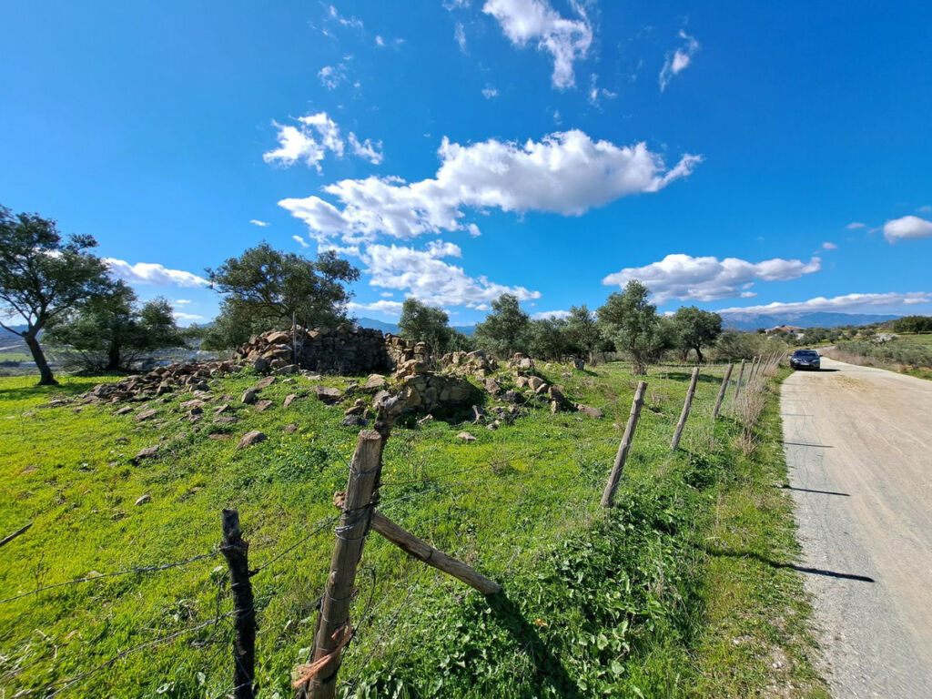 Land Coín Málaga - image 9