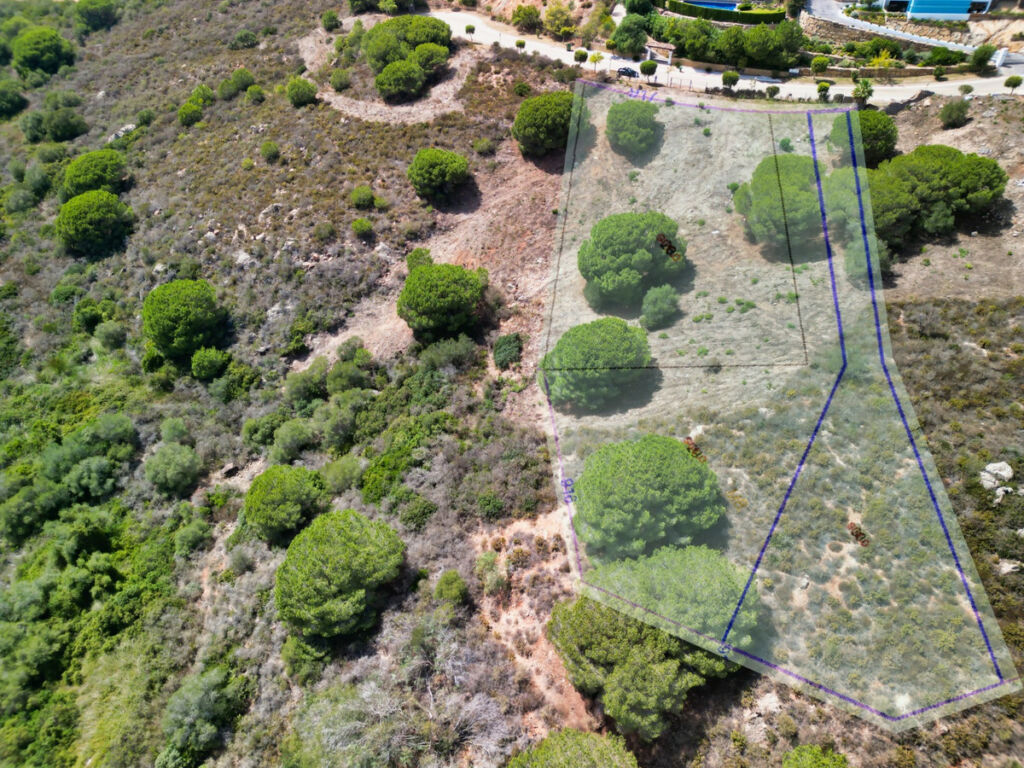 Land Sotogrande Alto Cádiz - image 10