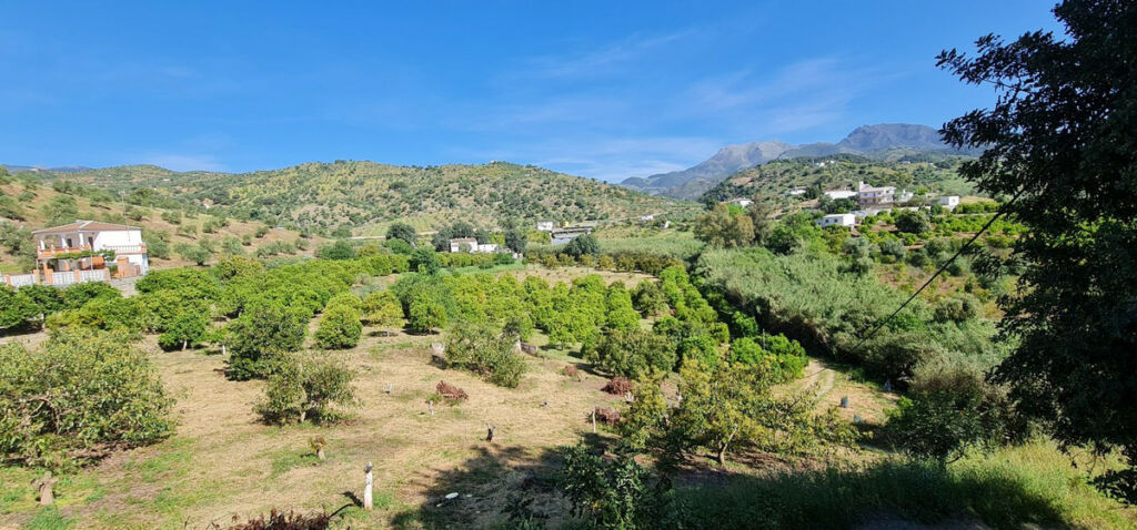 Detached Villa Tolox Málaga - image 12