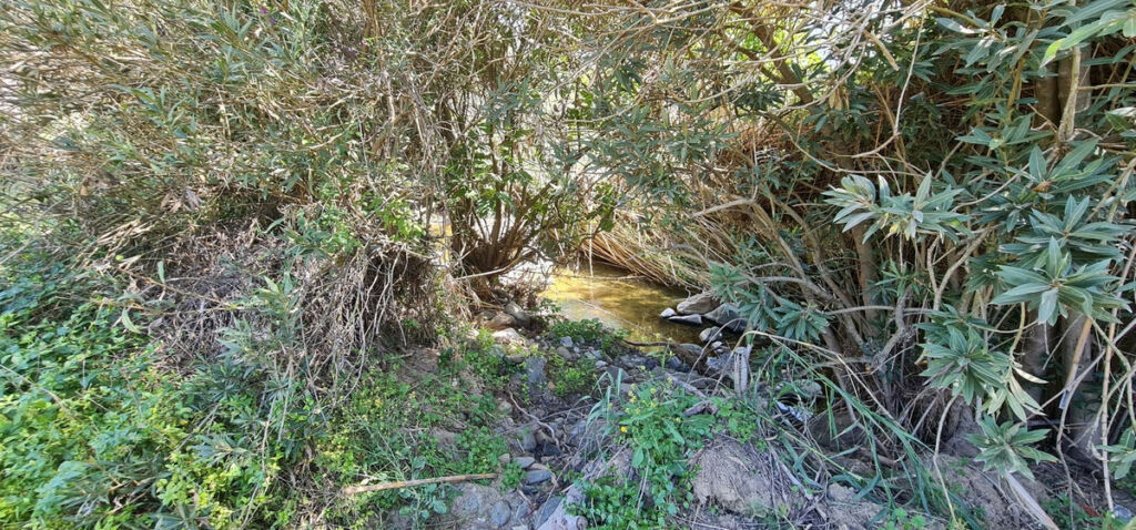 Land with Ruin Tolox Málaga - image 12