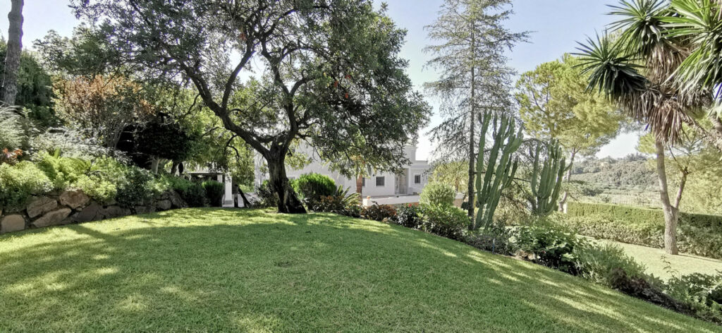 Detached Villa Estepona Málaga - image 12