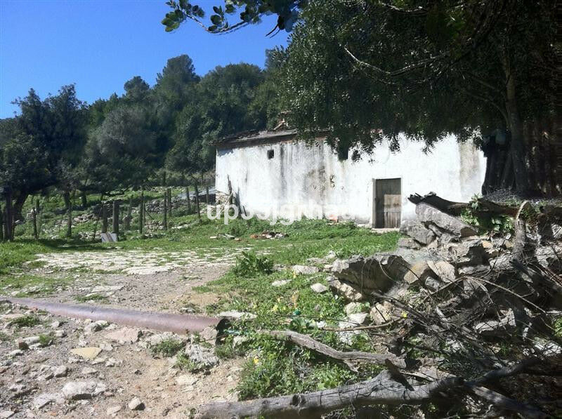 Land Gaucín Málaga - image 13