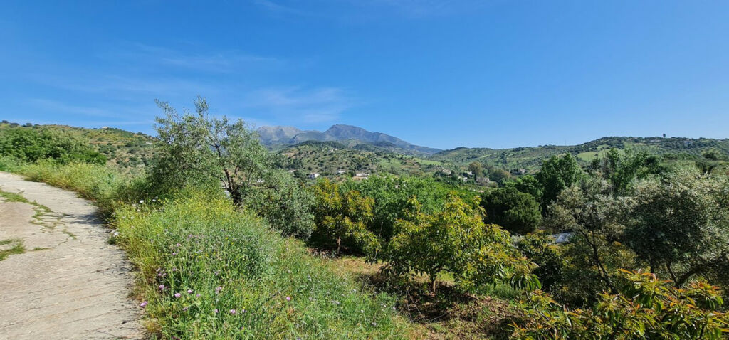 Detached Villa Tolox Málaga - image 18