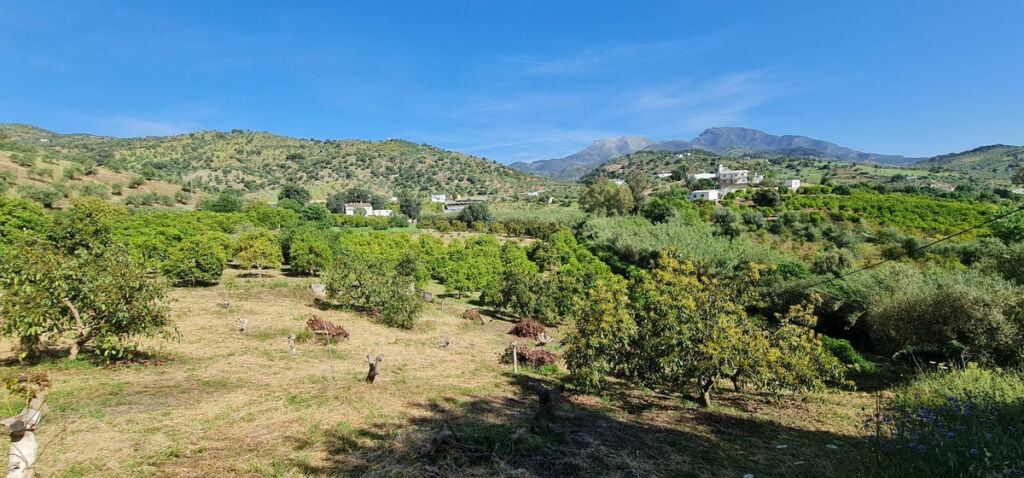 Detached Villa Tolox Málaga - image 21