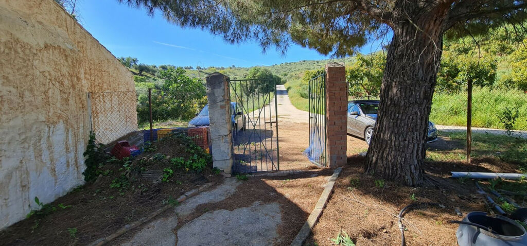 Detached Villa Tolox Málaga - image 4