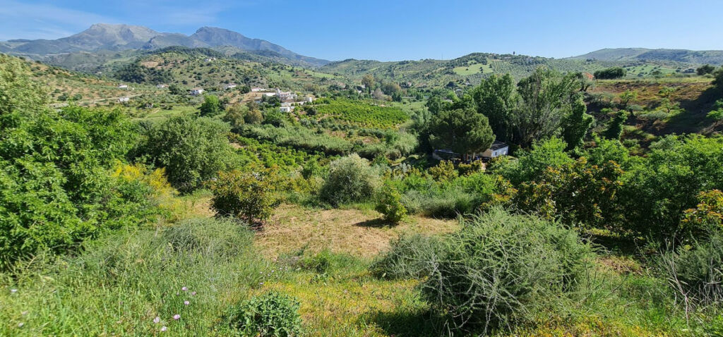 Detached Villa Tolox Málaga - image 7