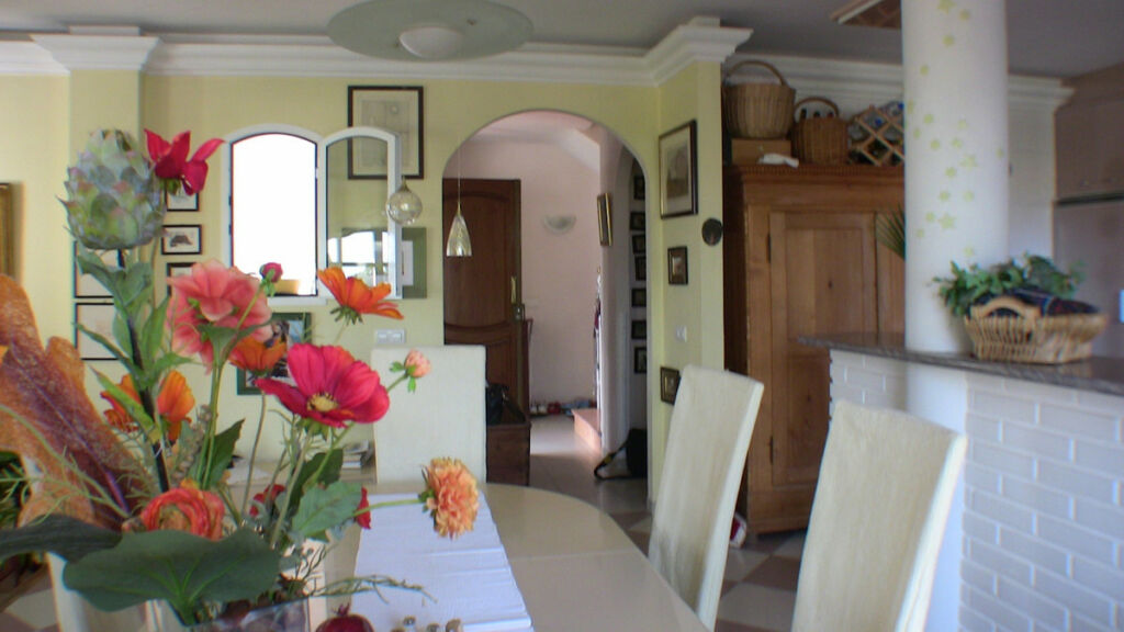 Detached Villa Torrox Málaga - image 9