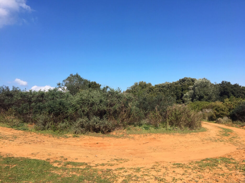 Land Manilva Málaga