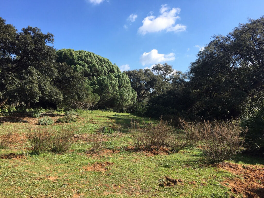 Land Manilva Málaga - image 16