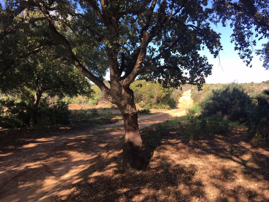 Land Manilva Málaga - image 17