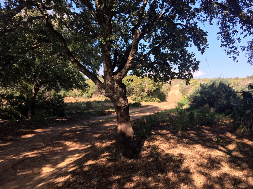 Land Manilva Málaga - image 19