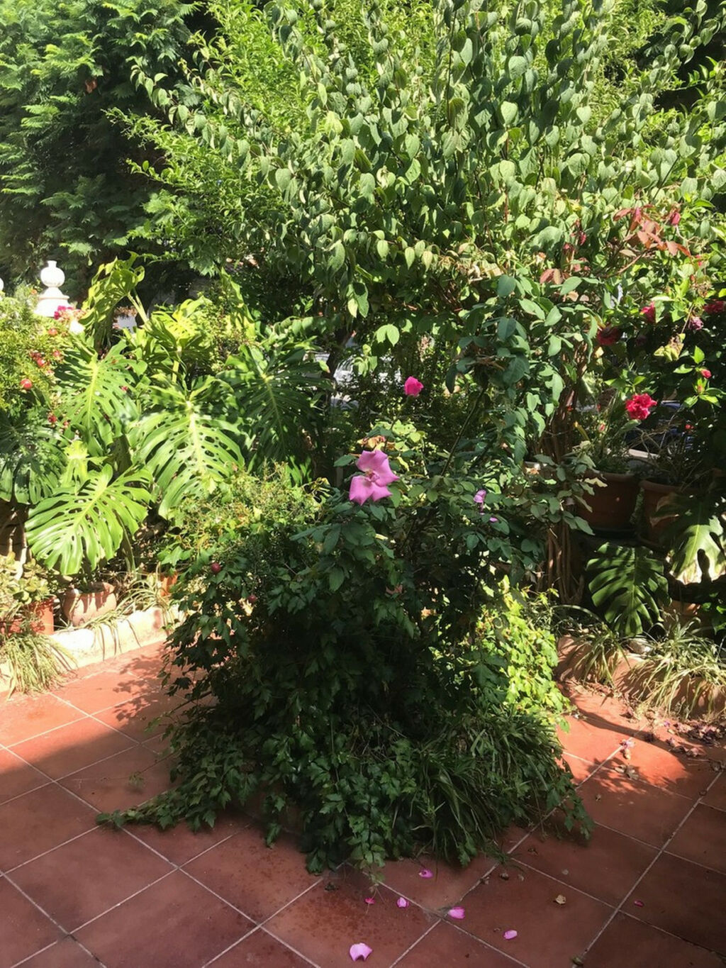 Townhouse Estepona Málaga - image 27