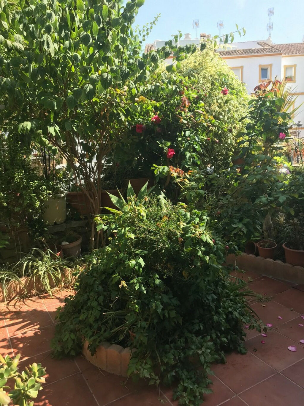 Townhouse Estepona Málaga - image 28