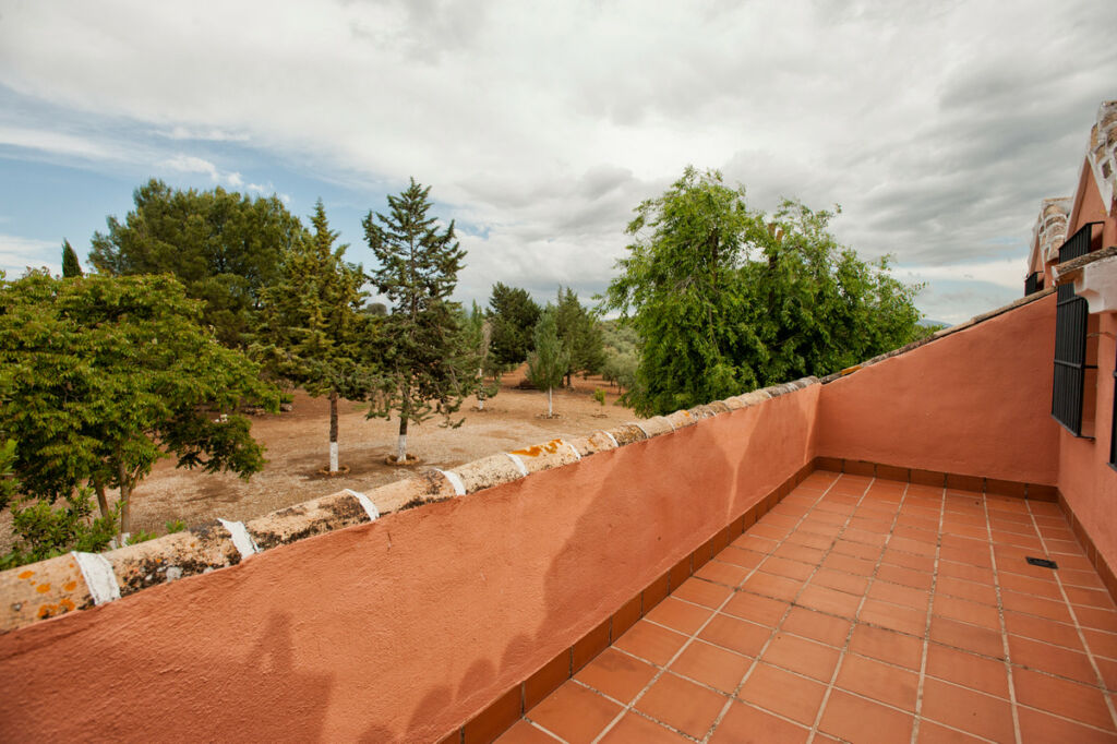 Finca - Cortijo Archidona Málaga - image 3
