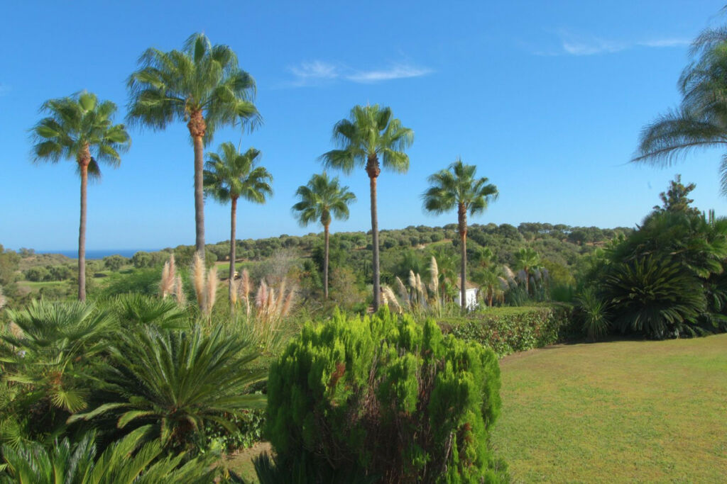Detached Villa Sotogrande Alto Cádiz - image 34
