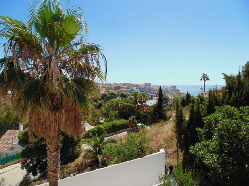 Detached Villa Benalmadena Costa Málaga - image 4