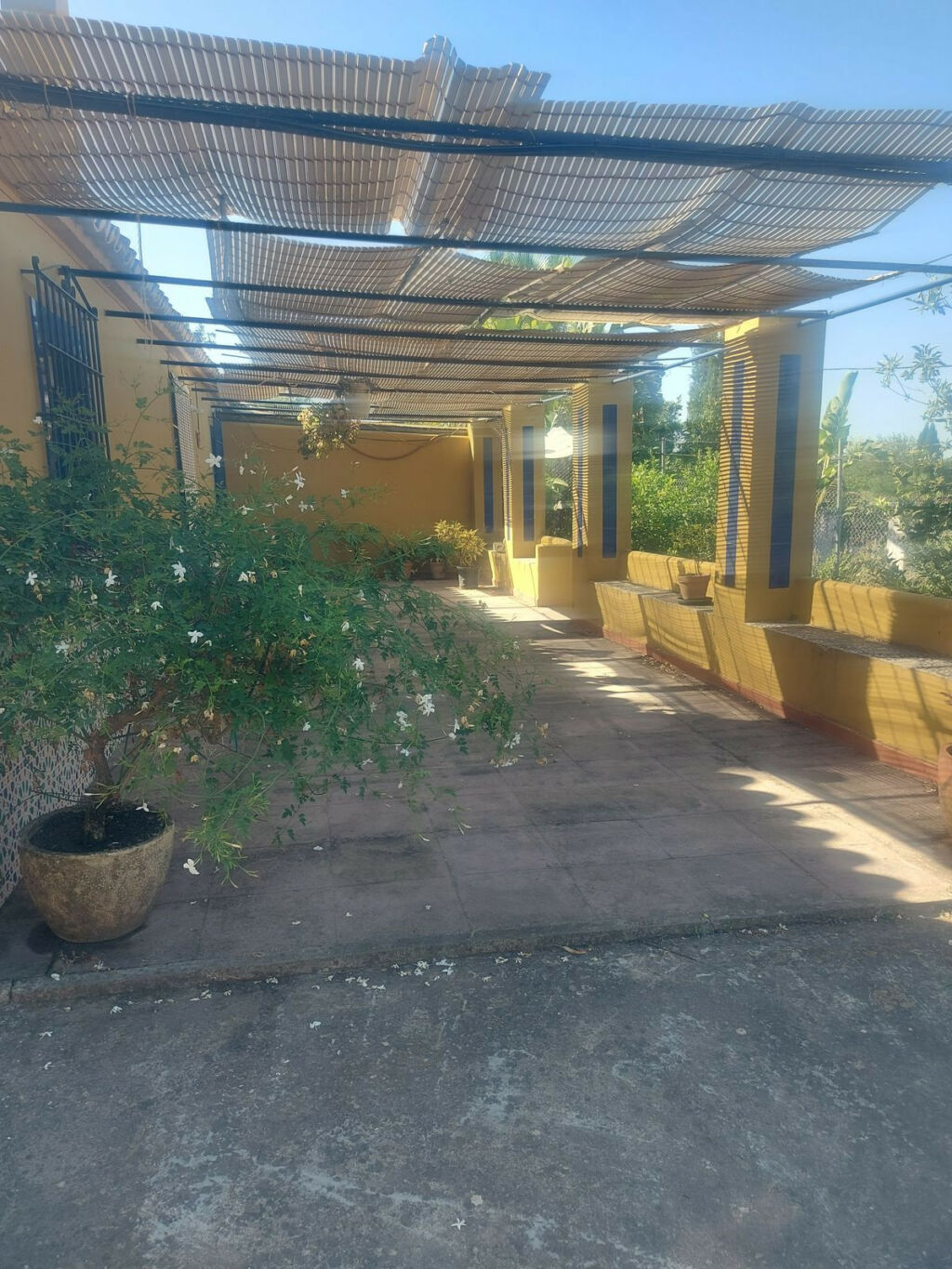 Finca - Cortijo San Enrique Cádiz