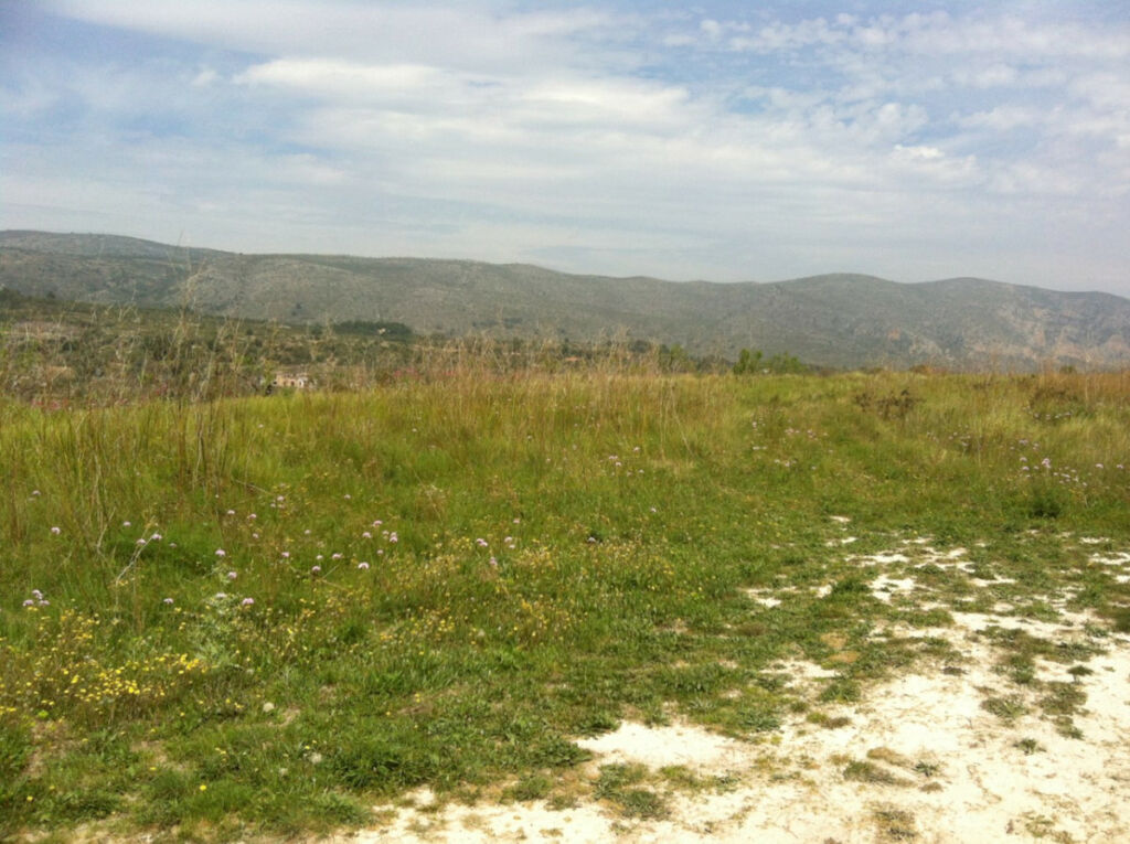 Land Benissa Alicante - image 2