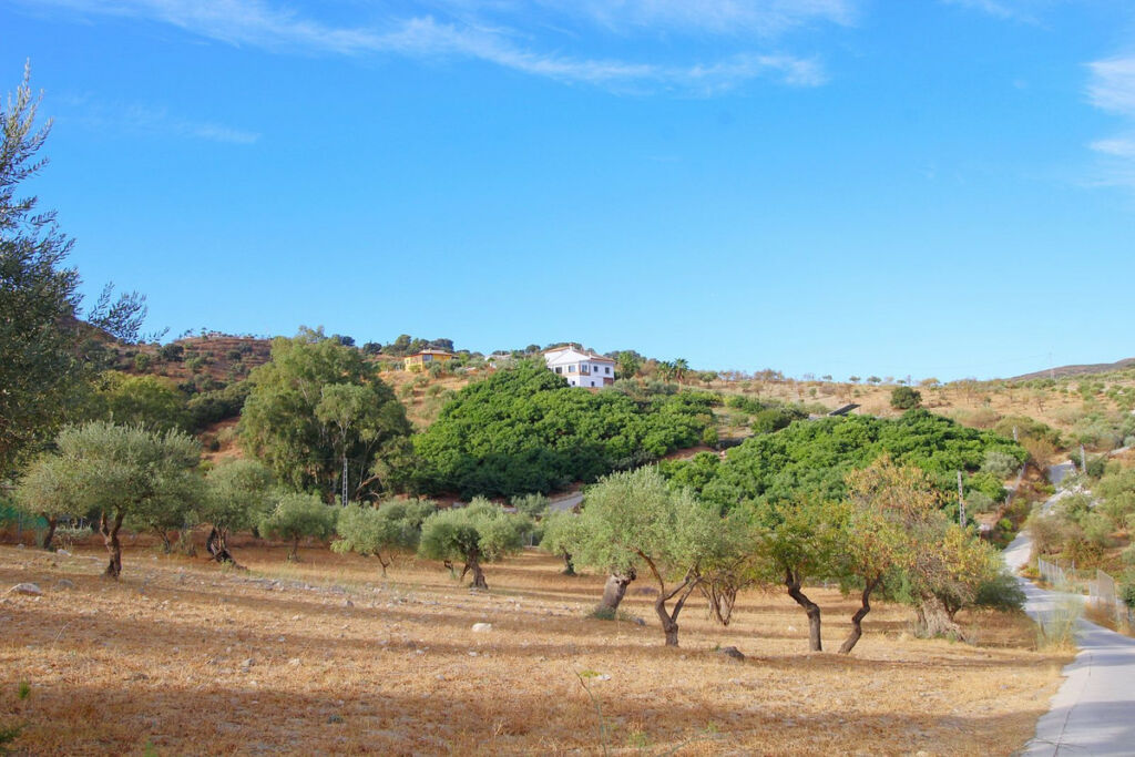 Finca - Cortijo Coín Málaga - image 10
