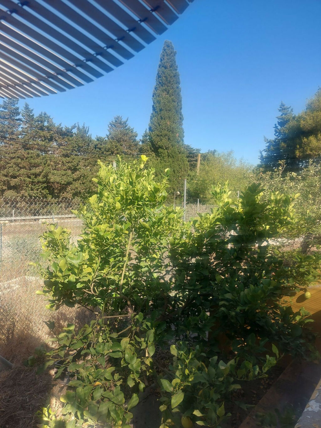 Finca - Cortijo San Enrique Cádiz - image 10